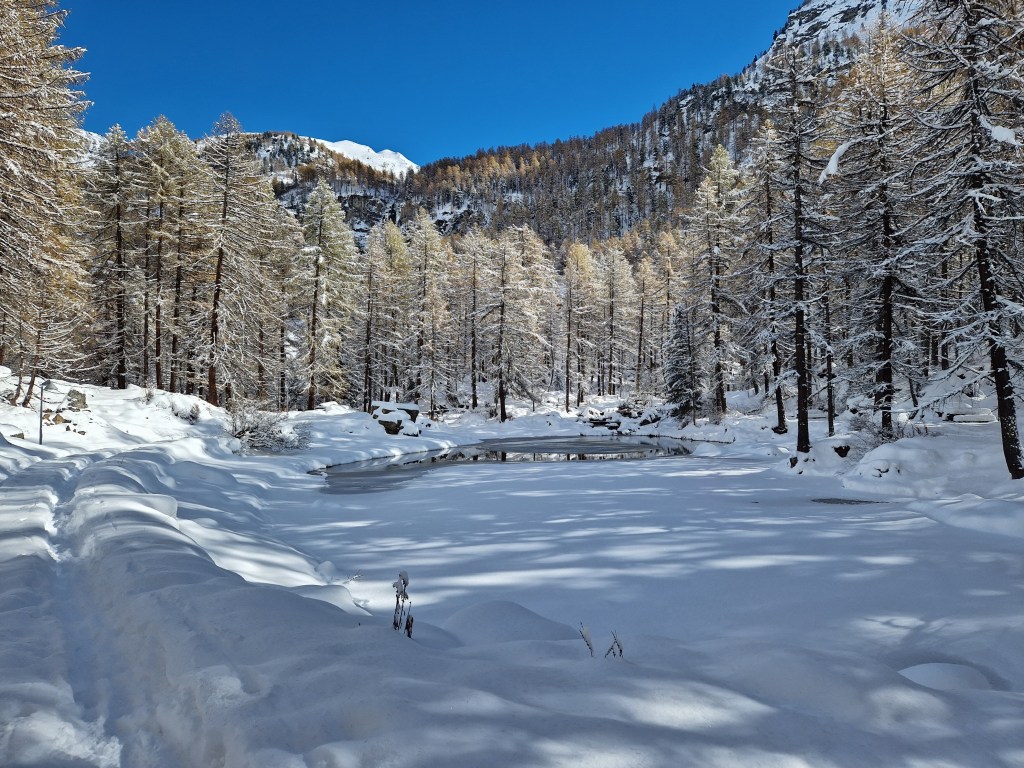 Un medico per l’ambiente